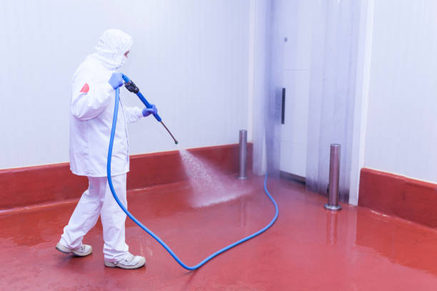 Best Dumpster Area Cleaning  in Manhasset Hills, NY